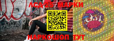 гидра Рыбинск