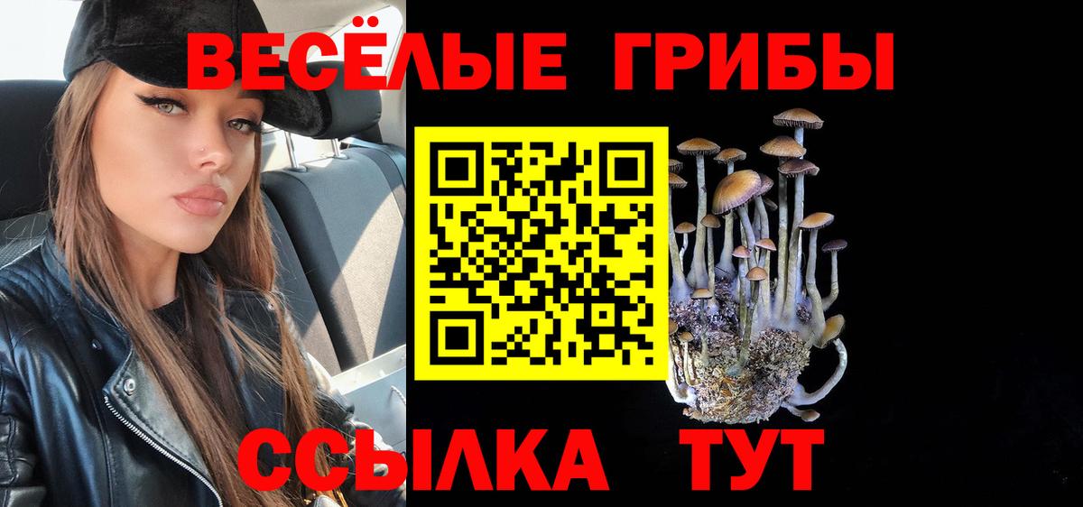 где найти наркотики  Вход с VPN  Отрадный  Псилоцибиновые грибы Psilocybine cubensis 